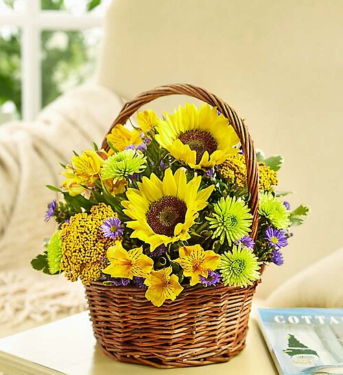 Fields of Europe™ for Summer Basket